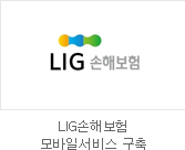 LIG손해보험 모바일 서비스 구축