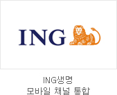 ING  ä 